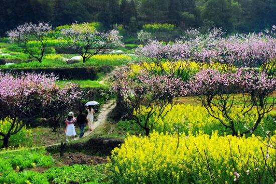 田園綜合體規(guī)劃,田園綜合體規(guī)劃,農業(yè)旅游規(guī)劃